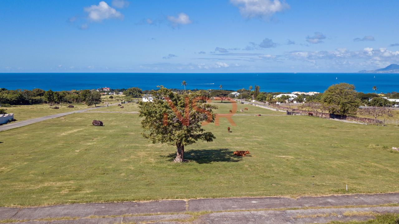 Paradise Residential Lots Nevis Style Realty